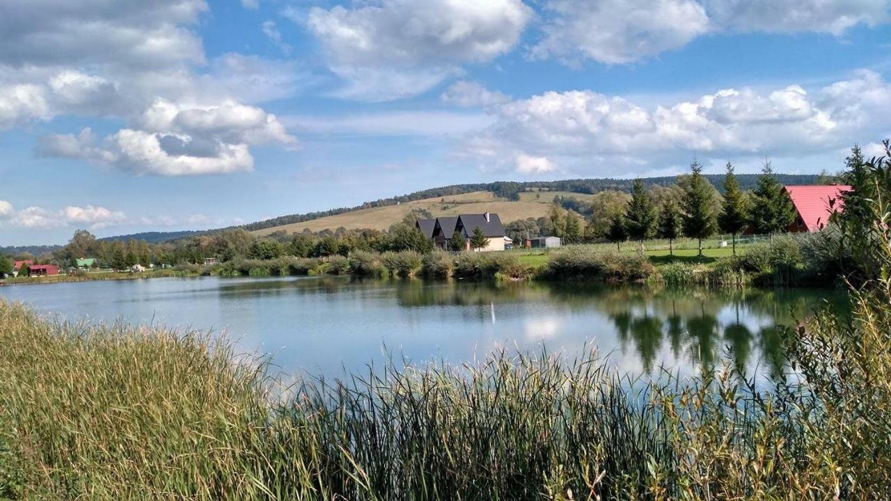 Zacisze Nad Sanem Apartment Krzemienna  ภายนอก รูปภาพ